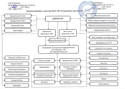 Организационная структура МАУ ДО СШ-2